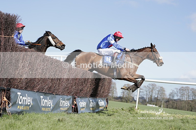 PtP 100423 785 - Old Berkshire Point-to-Point Lockinge 10/04/23