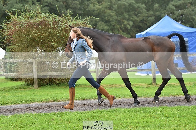 231018-124044-00445 - 052-SHANNONDALE.COURAGE-Georgina.Beeby.Wynn-TrotUp