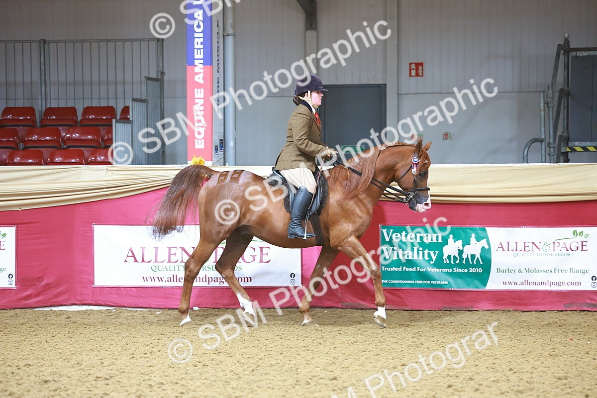 SBM_07585 - Class 101 - HOYS Veteran Qualifier - Ridden Diamond