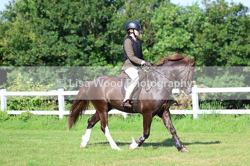 3E7A5952 - Class 27: Novice Working Hunter Pony