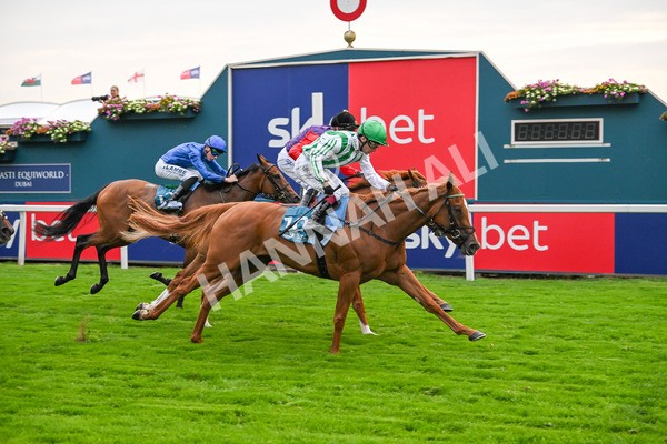 250725-Race 5-Sand Gazelle-6060 - Race 5 7.48pm British EBF Lyric Fillies' Stakes