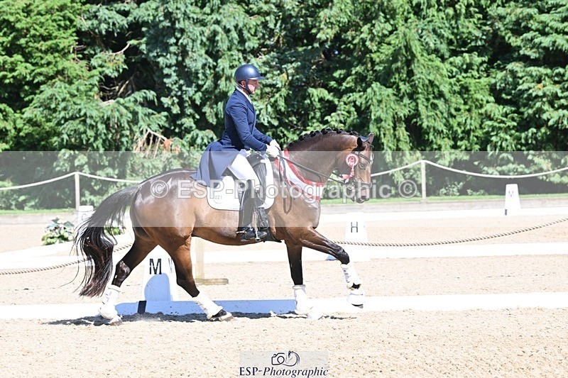 240811-154553-06864 - Inter I Silver