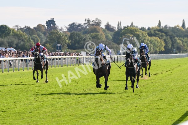 111025-Race 3-Laazm-8565 - Race 3 Coral 'Daily Reward Shaker' For Free Nursery Handicap at York