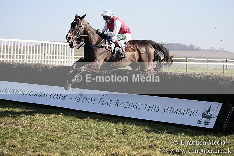 PtP 240218 261 - Vine & Craven Hunt Point-to-Point Barbury racecourse 24/02/18