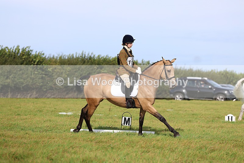 3E7A6103 - Class 1: Trebudannon Open: Dressage (Part 2)