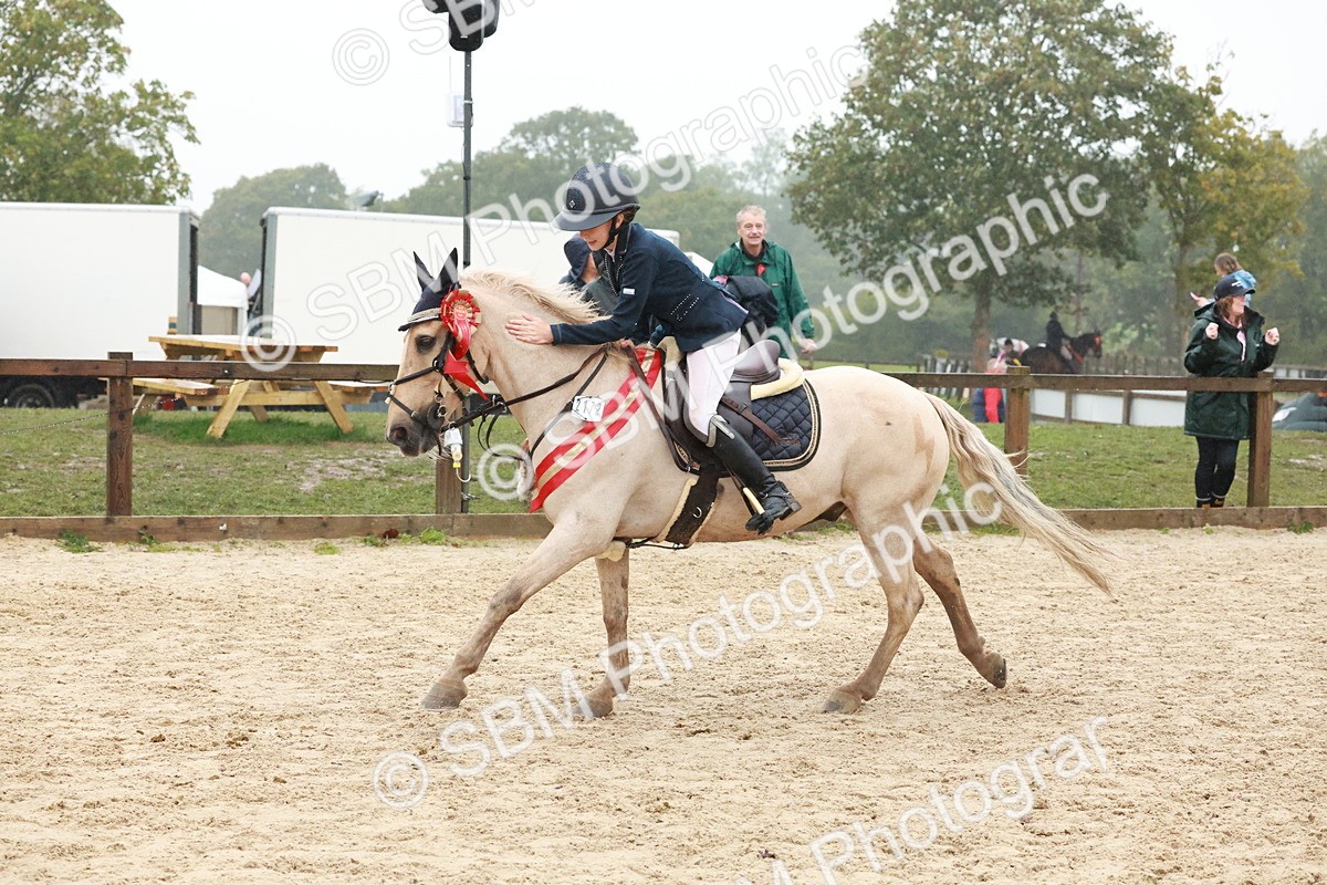 SBM_73664 - Supreme Championship Junior Pony 60cm & 65cm