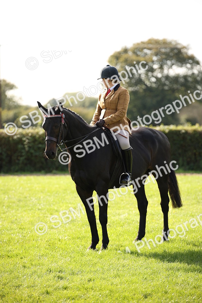 SBM_50142 - S26 - Young Veteran - Ridden