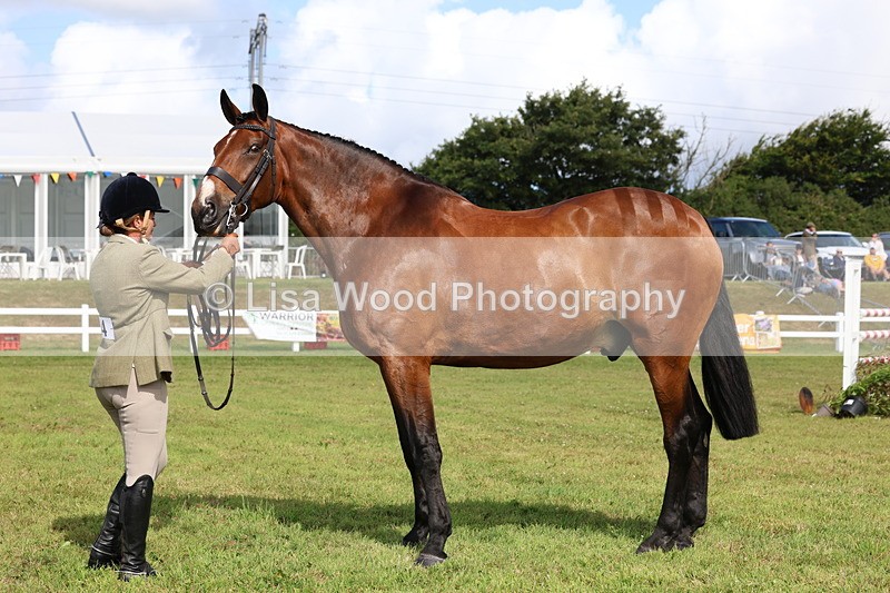 3E7A9500 - Class 4: Rising Star M/H Hunter