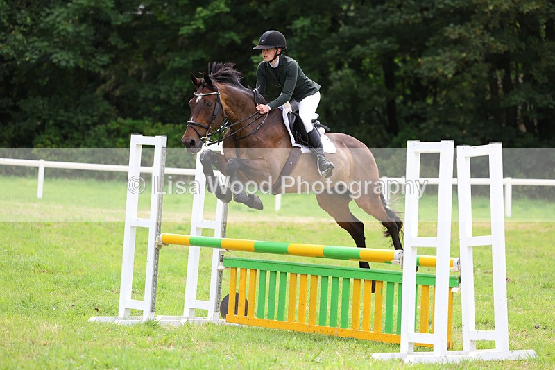 3E7A7297 - Class 5: Senior British Novice/90cm open