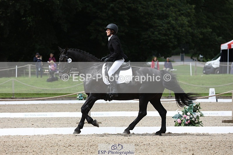 230812-123502-04049 - Cls 5 Novice Bronze 11.15 to 12.50 break