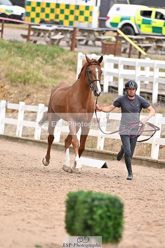 250716-162301-02604 - Trot Up 3.30 to 4.30