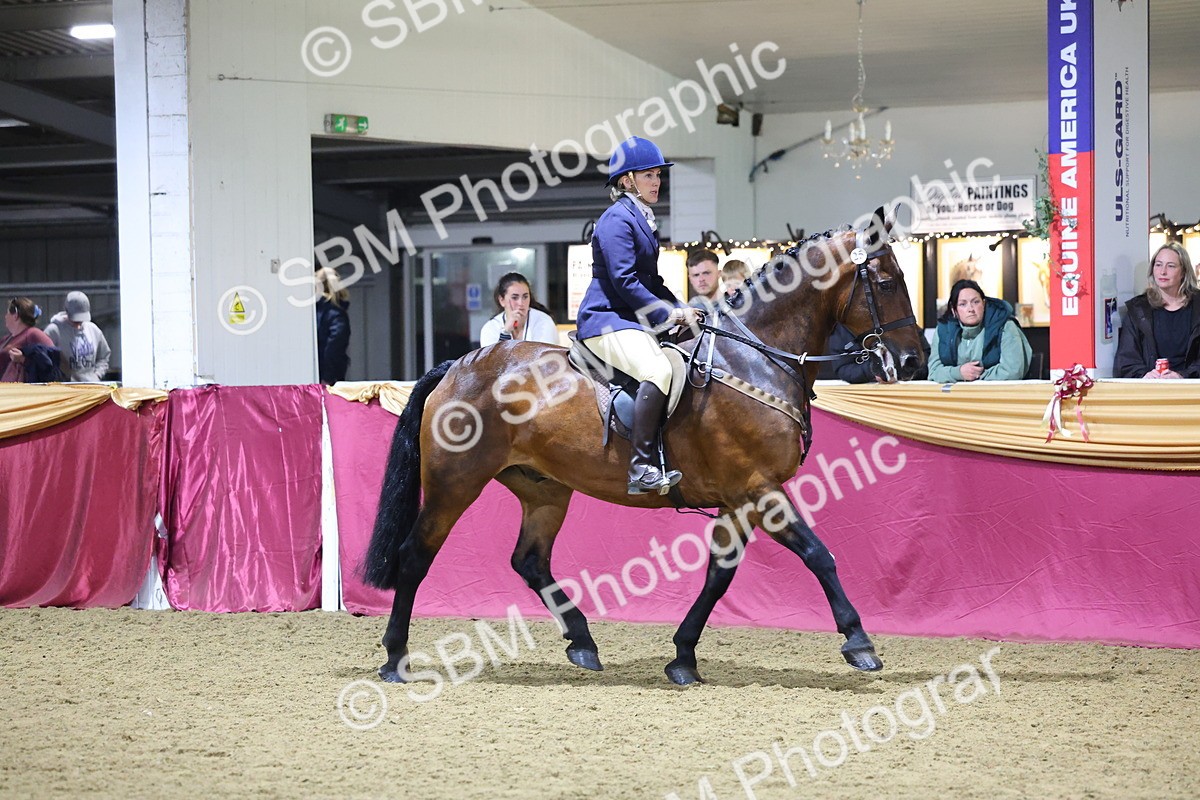 0B8A4682 - Class R Working Veteran Champ