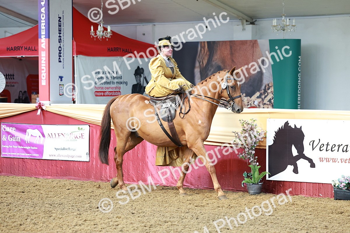SBM_13529 - Class 105 - Ridden Costume - Side Saddle