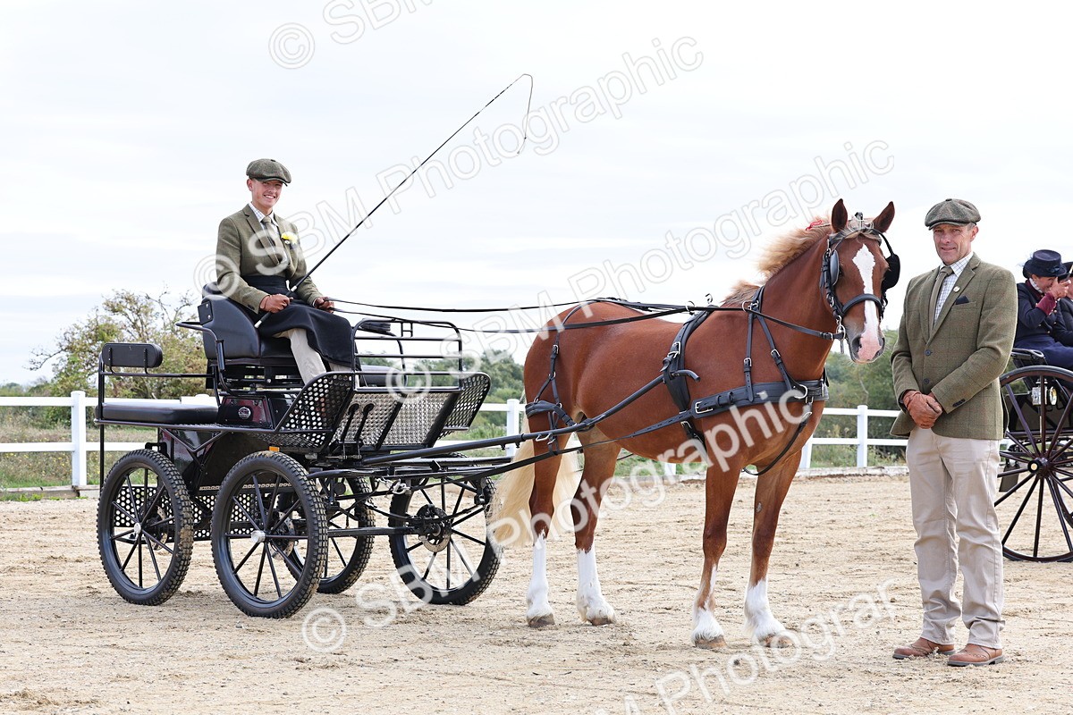 SBM_000462 - Class 4 - Junior Whip