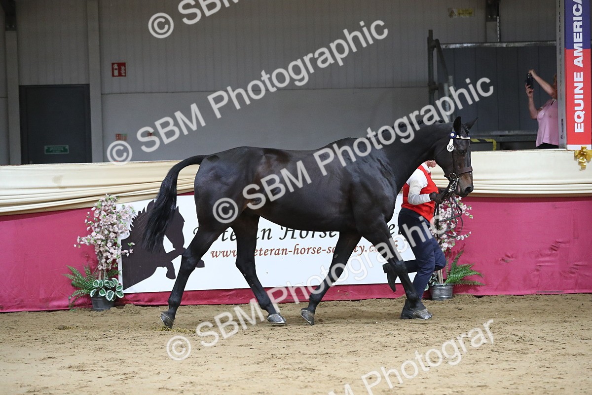 SBM_06350 - Class 9R Regional- IH Pre Vet