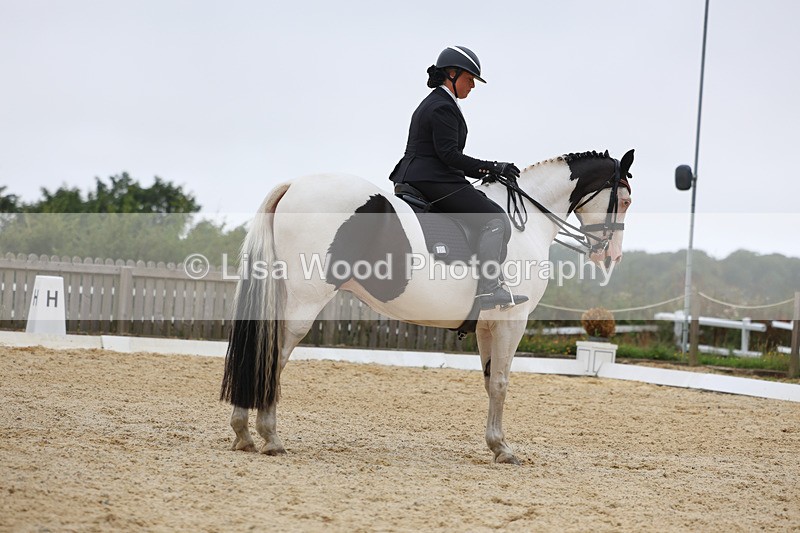 3E7A7406 - Class 9: Elementary 4 2024 - No sections