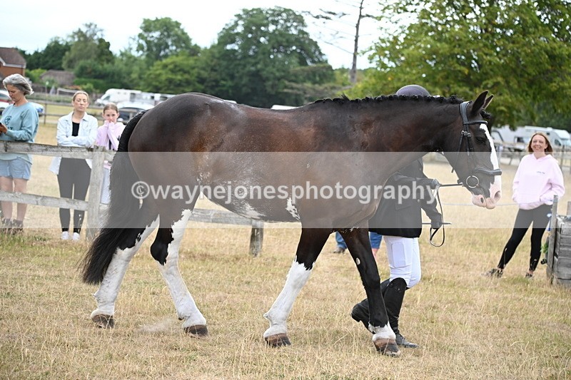 WJ6_8082 - Class 10 Coloured in Hand