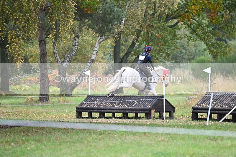 WJ6_3267 - 90cm Cam 1 Time 13:07 to 13:34