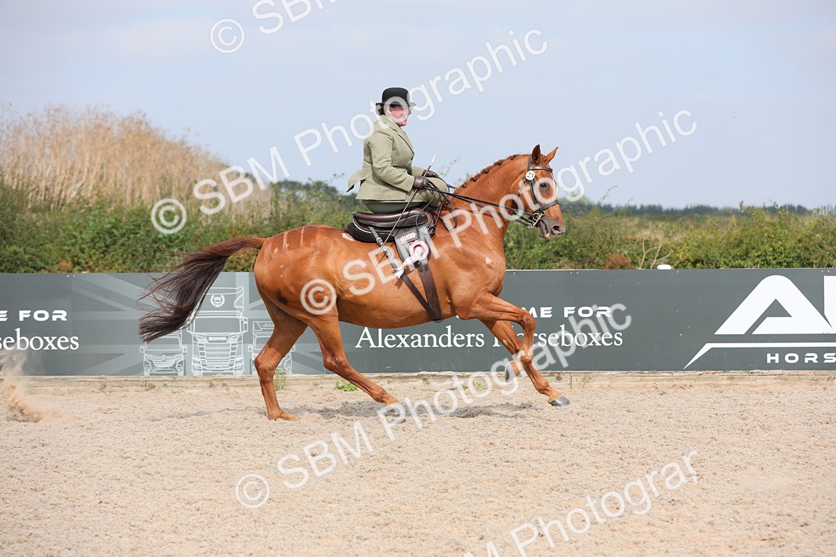 SBM_14661 - Class 211 Best Side Saddle Horse/Pony