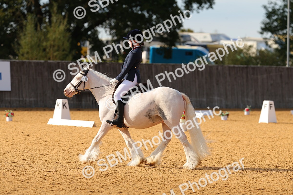 SBM_49669 - D22 - Junior Championship - Intro B