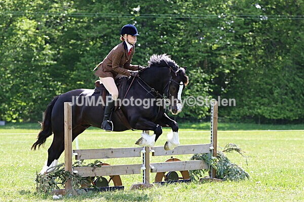 IMG_3715 - Working Hunter