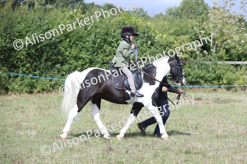 20250831-2785 - Class 17 - Lead Rein Pony
