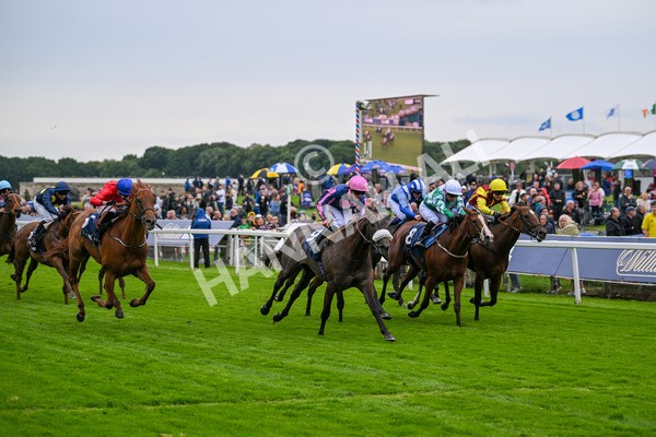 120724-Race 2-Flora Of Bermuda-5822 - Race 2 2.40pm William Hill Summer Stakes