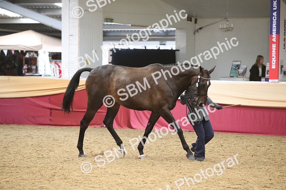 SBM_05701 - Class 9R - Regional IH Pre-Vet