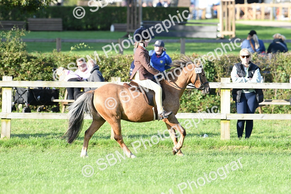 SBM_54097 - S23 - 1st Ridden Mountain & Moorland Pony