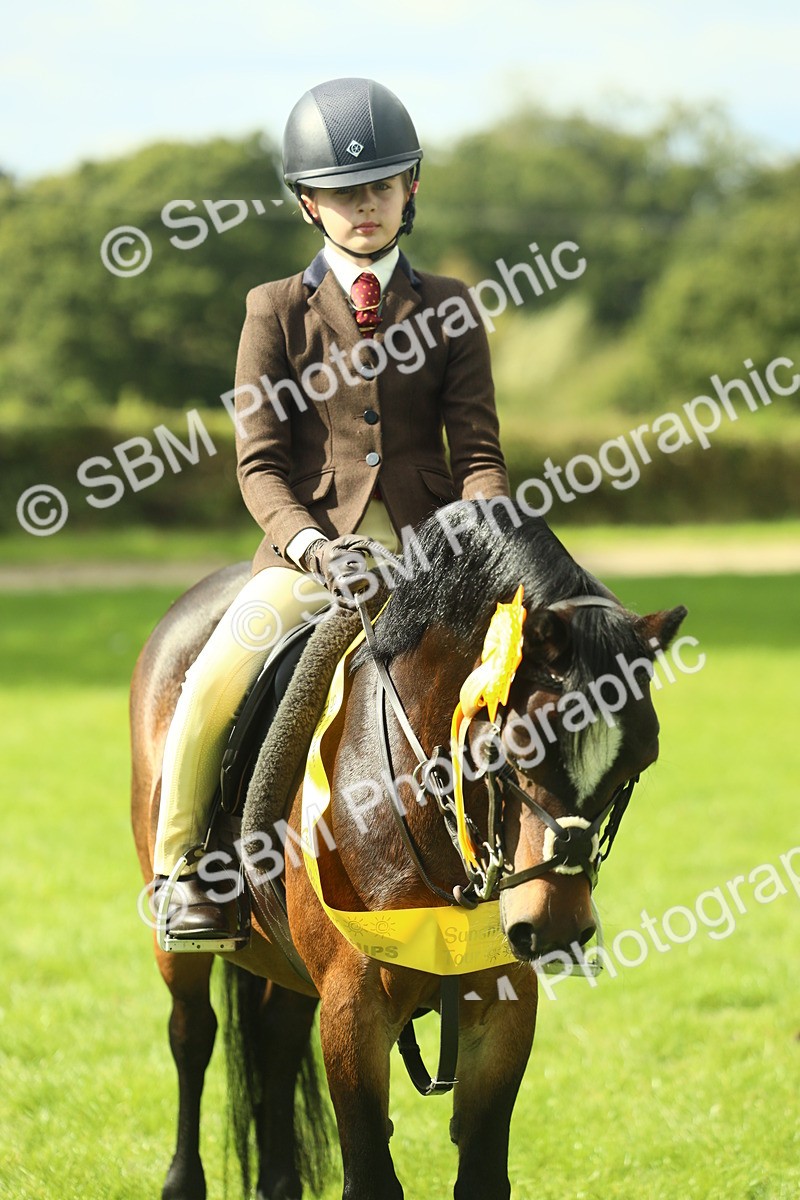 SBM_44979 - Working Hunter Pony Supreme Championship
