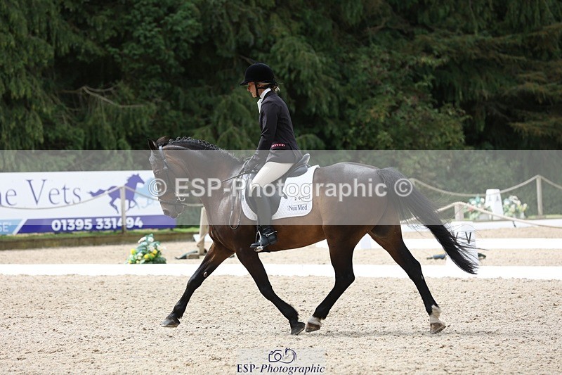 230812-122103-03992 - Cls 5 Novice Bronze 11.15 to 12.50 break