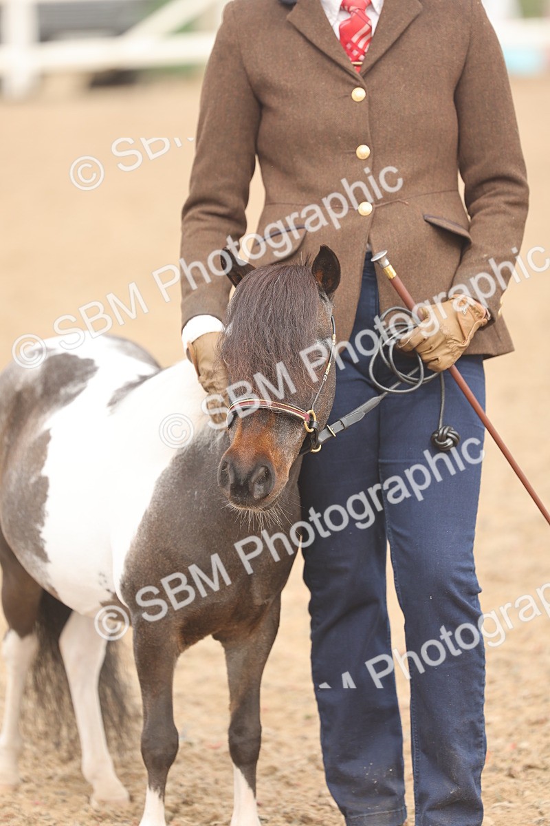 SBM_02103 - Class 15 - IH Coloured