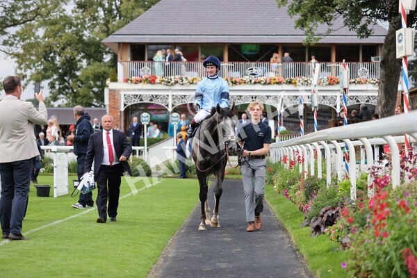 yr19082021r5-34 - Race 5 4.10pm OR8wellness ebfstallions Nursery Handicap