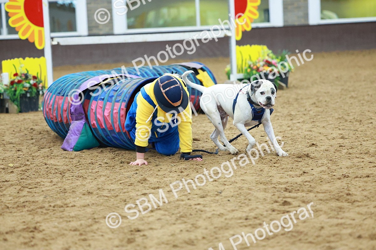 SBM_002290 - Class 3 - Horse & Hound (60cm)