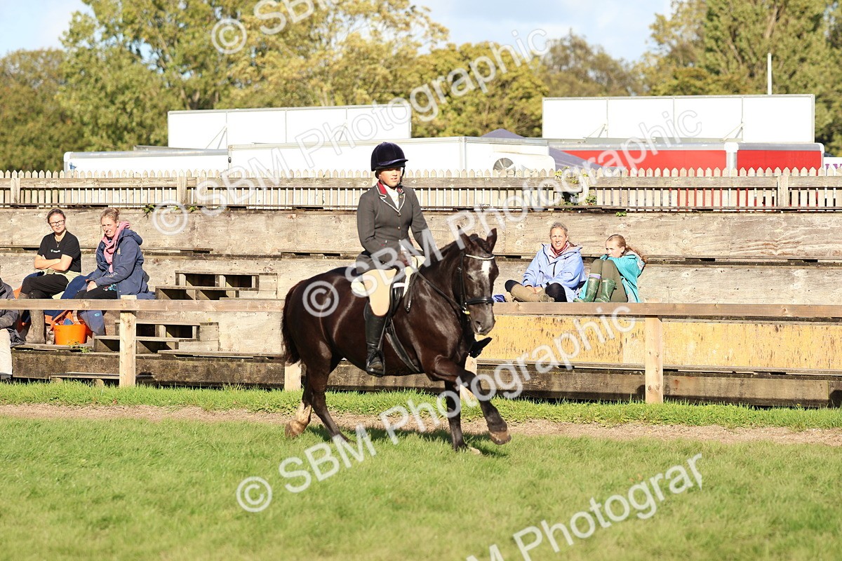 SBM_52525 - S13 - Pony Club Pony