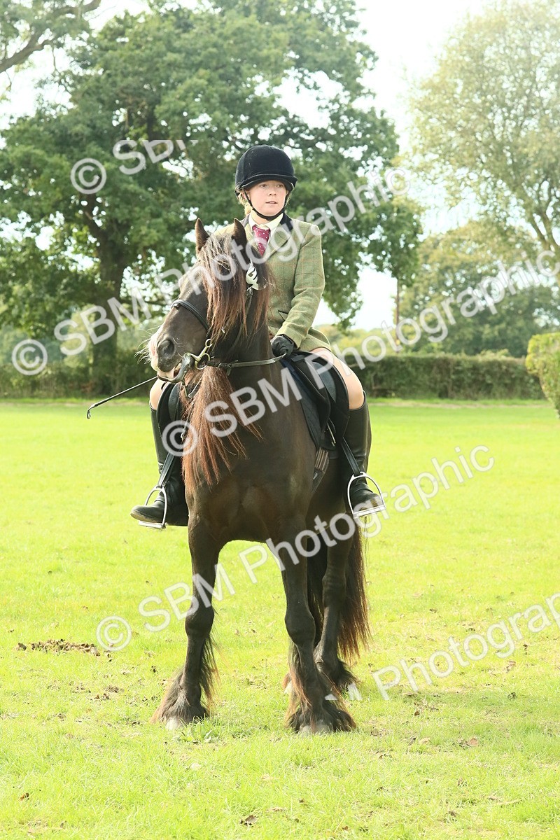 SBM_69386 - S58 - Mini Show Cob Ridden