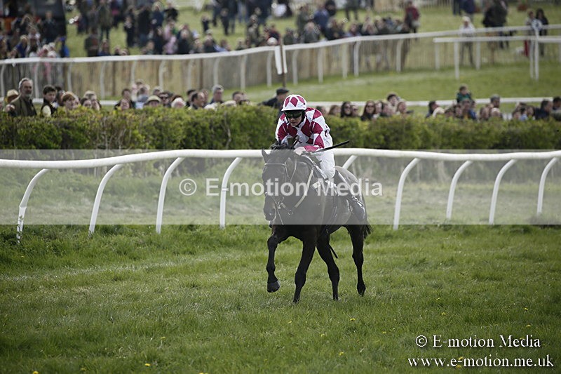 PtP 170417 348 - Old Berks Point-to-Point Lockinge 17/04/17