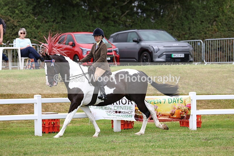 3E7A0957 - Class 8: Open Riding Horse/Hack