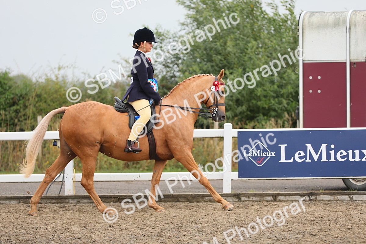 SBM_22403 - Class 807 - Young Rider 11 to 16 Yrs