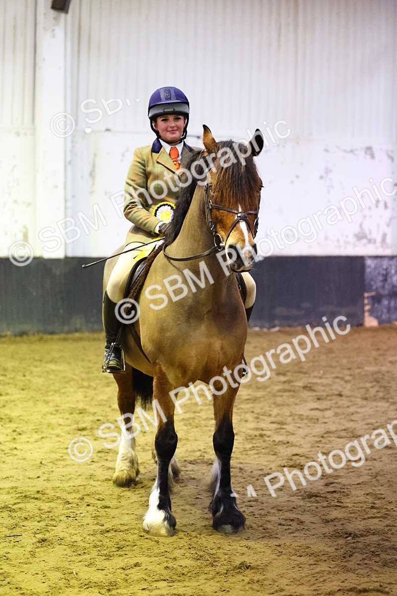 SBM_006658 - Class 43 - RIHS Qualifier Exceeding 43cms