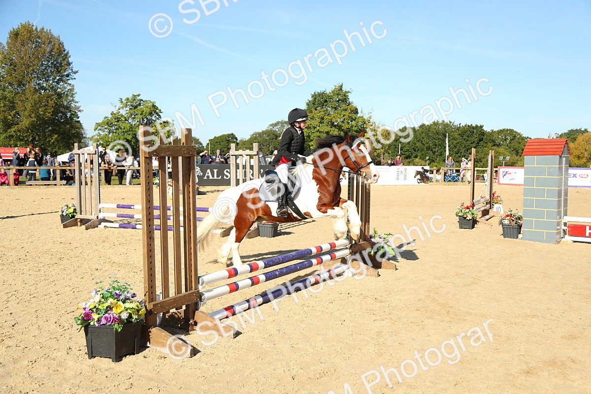 SBM_35956 - J5 - Junior Pony 50cm Championship