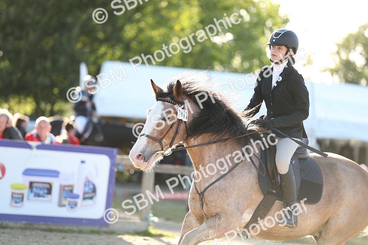 SBM_53967 - J23 - Junior Horse 70cm Championship