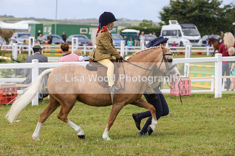 1X9A3638 - Class 29: Lead Rein SP/SHP