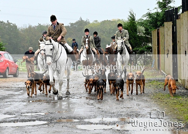 WJ7_8305 - Berks & Bucks Blackcroft Farm 20-10-24