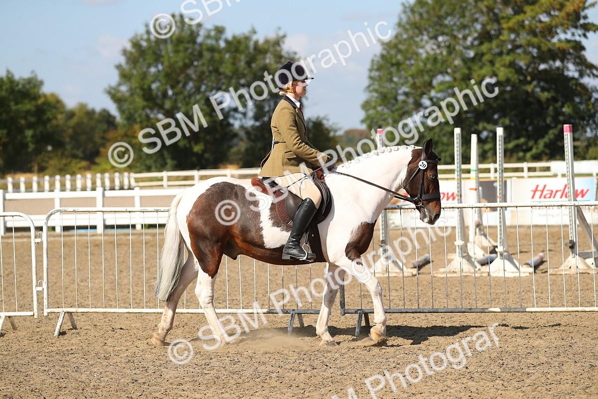 SBM_03108 - Class 44 Riding Club Horse/ Pony