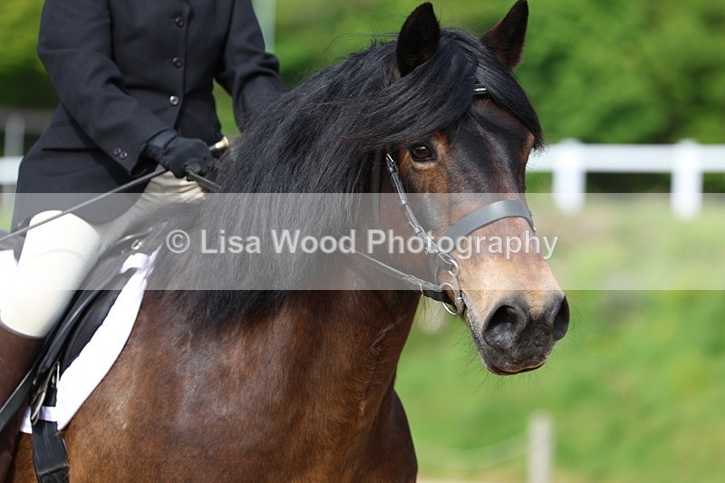 3E7A3328 - Class 2: INTRO B- INTRO 3 2024