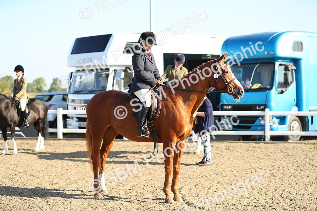 SBM_00441 - Class 41 Best Turned Out Ridden