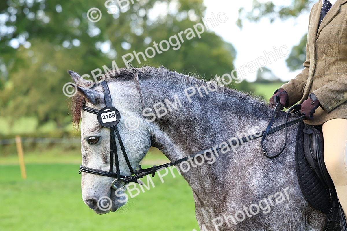 SBM_36903 - S11 - Best Ridden Horse & Pony
