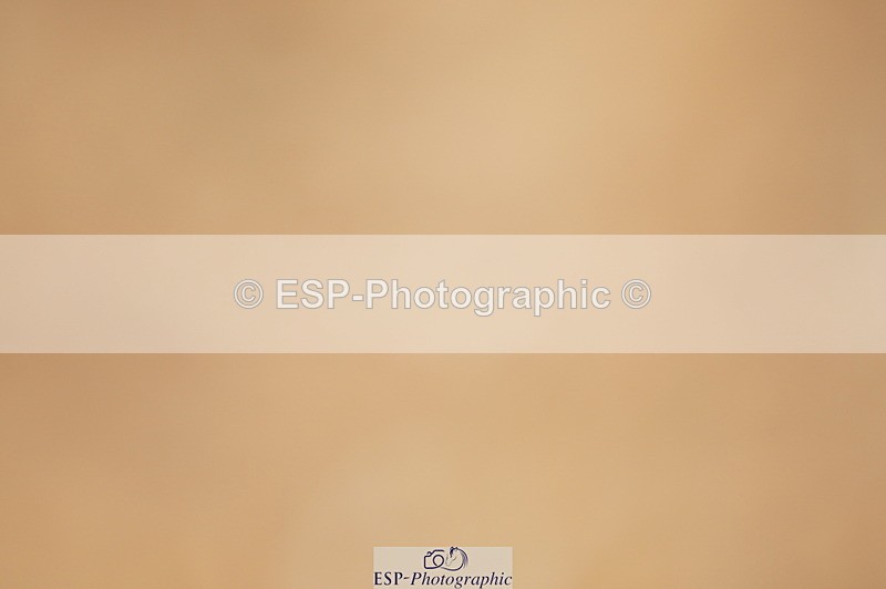 240317A-151010-07524 - Cls 28 Snr Newcomers