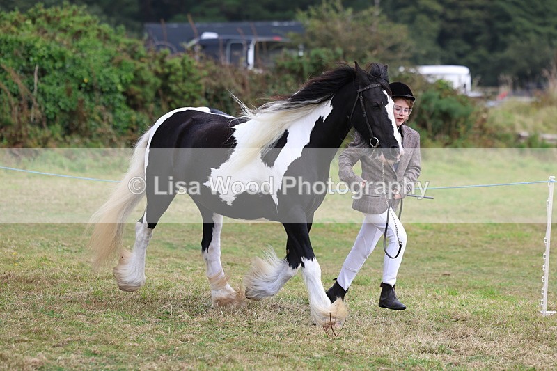 3E7A5351 - Class 19: Best Coloured in Hand